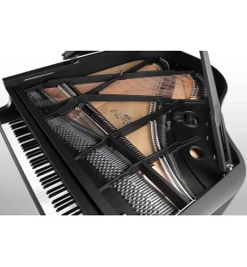 Classic C169 Black Pearl